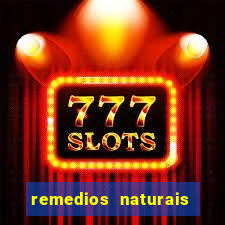 remedios naturais para diabetes